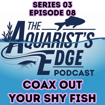 How to Coax Out Shy Fish - Proven Tips to Make Freshwater Fish Feel Safe
