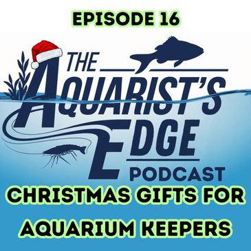 Christmas Gifts For Aquarium Keepers