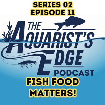 Fish Food Matters! - Ensuring Fish Health Through Thoughtful Feeding