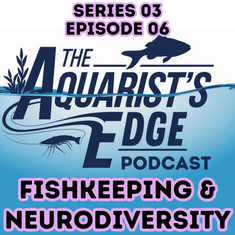 Fishkeeping & Neurodiversity: Why Aquariums Calm ADHD/Autistic Brains