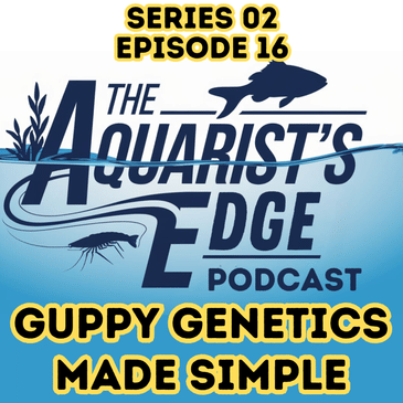 Guppy Genetics Made Simple
