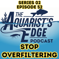 Stop Overfiltering Your Aquarium - Why Too Much Filtration Stresses Fish and Destabilises Tanks