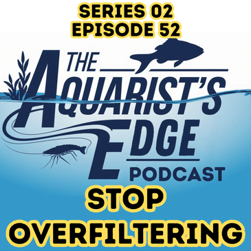 Stop Overfiltering Your Aquarium - Why Too Much Filtration Stresses Fish and Destabilises Tanks