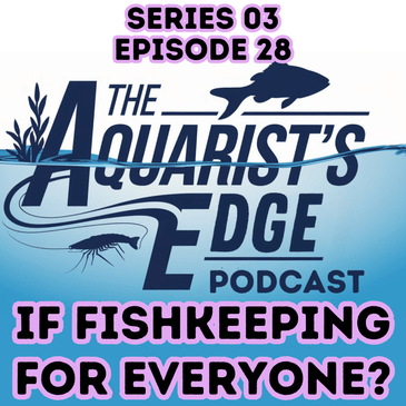 Is Fishkeeping Really An Accessible Hobby?