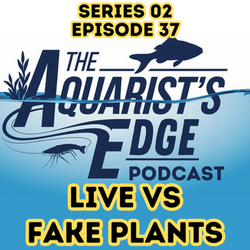 Live vs. Fake Aquarium Plants: Pros, Cons, and Care Tips for Every Aquarist