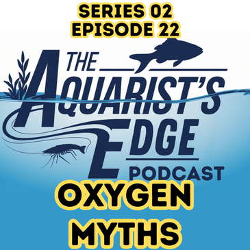 Oxygen Myths: Why Bubbles Don’t Mean Breathable Water (And What Really Works)