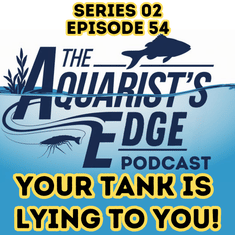Signs Your Tank Is Lying to You - Hidden Stress in ‘Perfect’ Aquariums