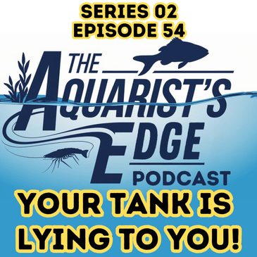 Signs Your Tank Is Lying to You - Hidden Stress in ‘Perfect’ Aquariums