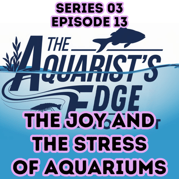 The Joy And The Stress Of Aquariums