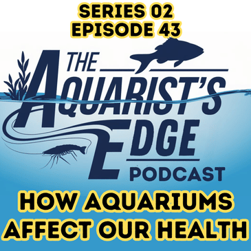 The Healing Power of Aquariums: How Fishkeeping Improves Your Body, Mind, and Spirit