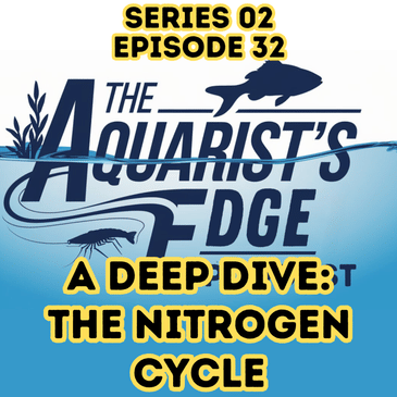 The Nitrogen Cycle Explained - Deep Science for Serious Aquarists