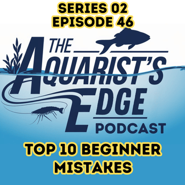 Top 10 Aquarium Setup Mistakes to Avoid - Expert Freshwater Fishkeeping Tips for Beginners & Beyond