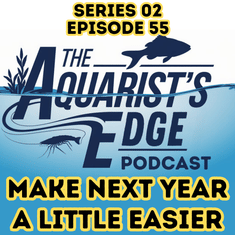 Top 5 New Year Resolutions Every Aquarist Should Make for Healthier Fish & Easier Maintenance