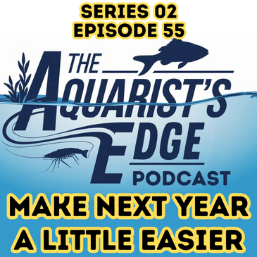 Top 5 New Year Resolutions Every Aquarist Should Make for Healthier Fish & Easier Maintenance