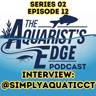 From Hobbyist To Aquatic YouTuber With More Than 10k Subs! Interview with @SimplyAquaticCT