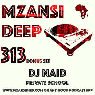Session 313 Bonus Set - DJ Naid - PRIVATE SCHOOL