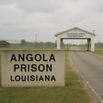 The Last Massive Plantation (Louisiana's Angola Prison - Inmates Harvest Crops By Hand Today)
