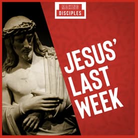 277. Do You Know What Jesus Did Each Day of His Final Week?