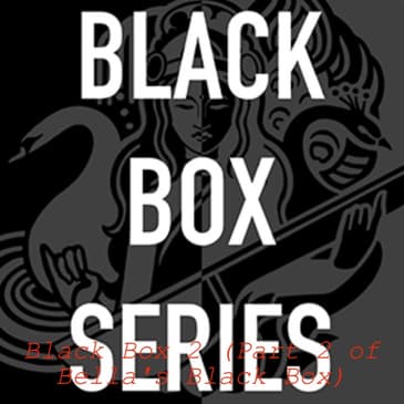 Black Box 2 (Part 2 of Bella’s Black Box)
