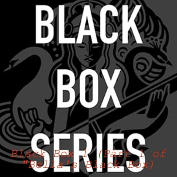 Black Box 1 (Part 1 of ”Bella’s Black Box)