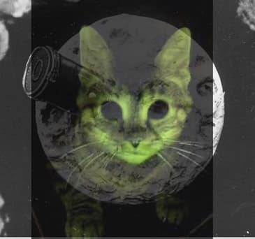 Ray Cats Nuke the Moon