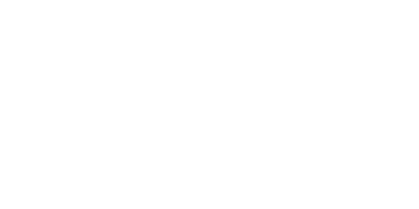 The Entrepreneurial Agent