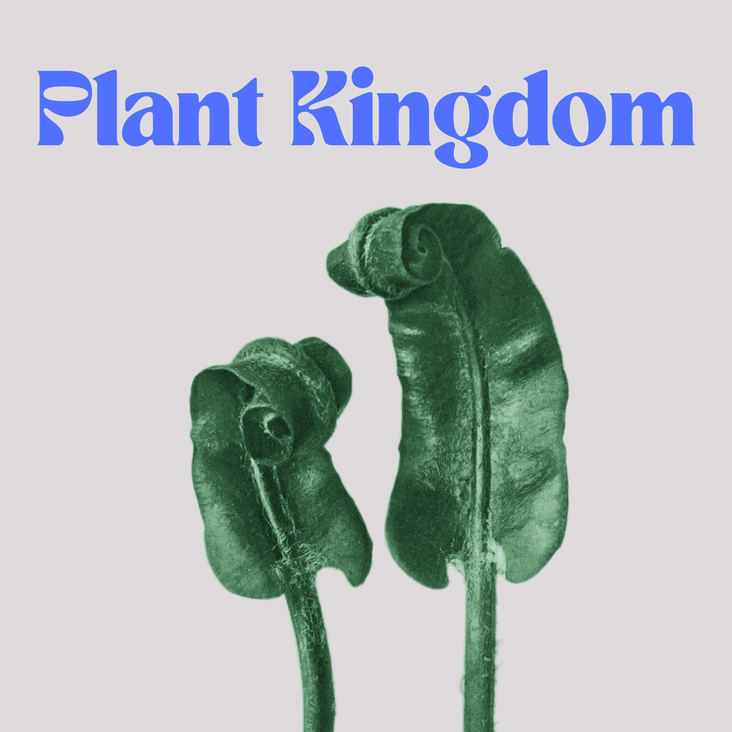 plantkingdom