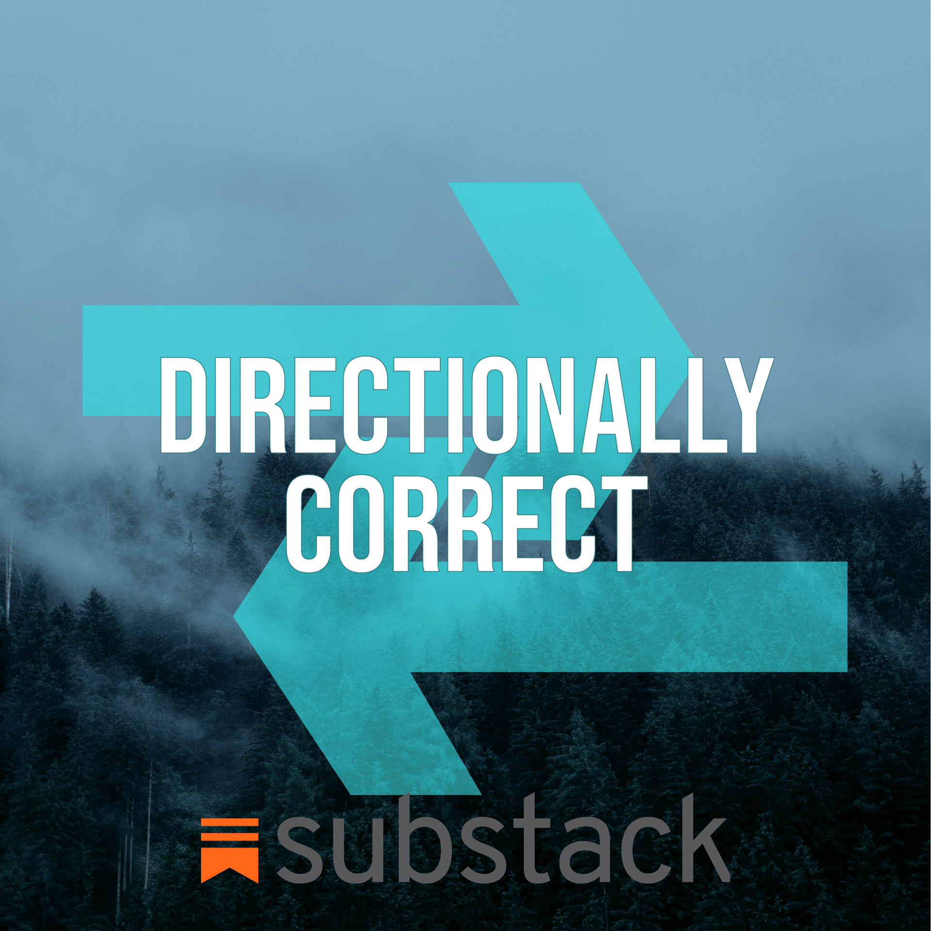 Directionally Correct Substack Newsletter