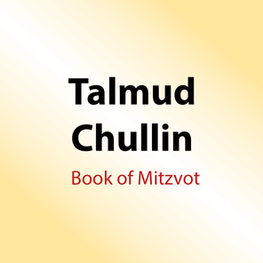 298 Shiurim