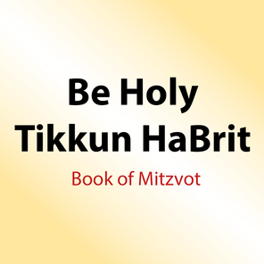 193 Shiurim