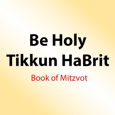 193 Shiurim