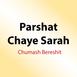 41 Shiurim