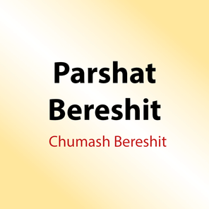 119 Shiurim