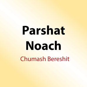 58 Shiurim