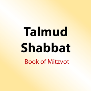 395 Shiurim