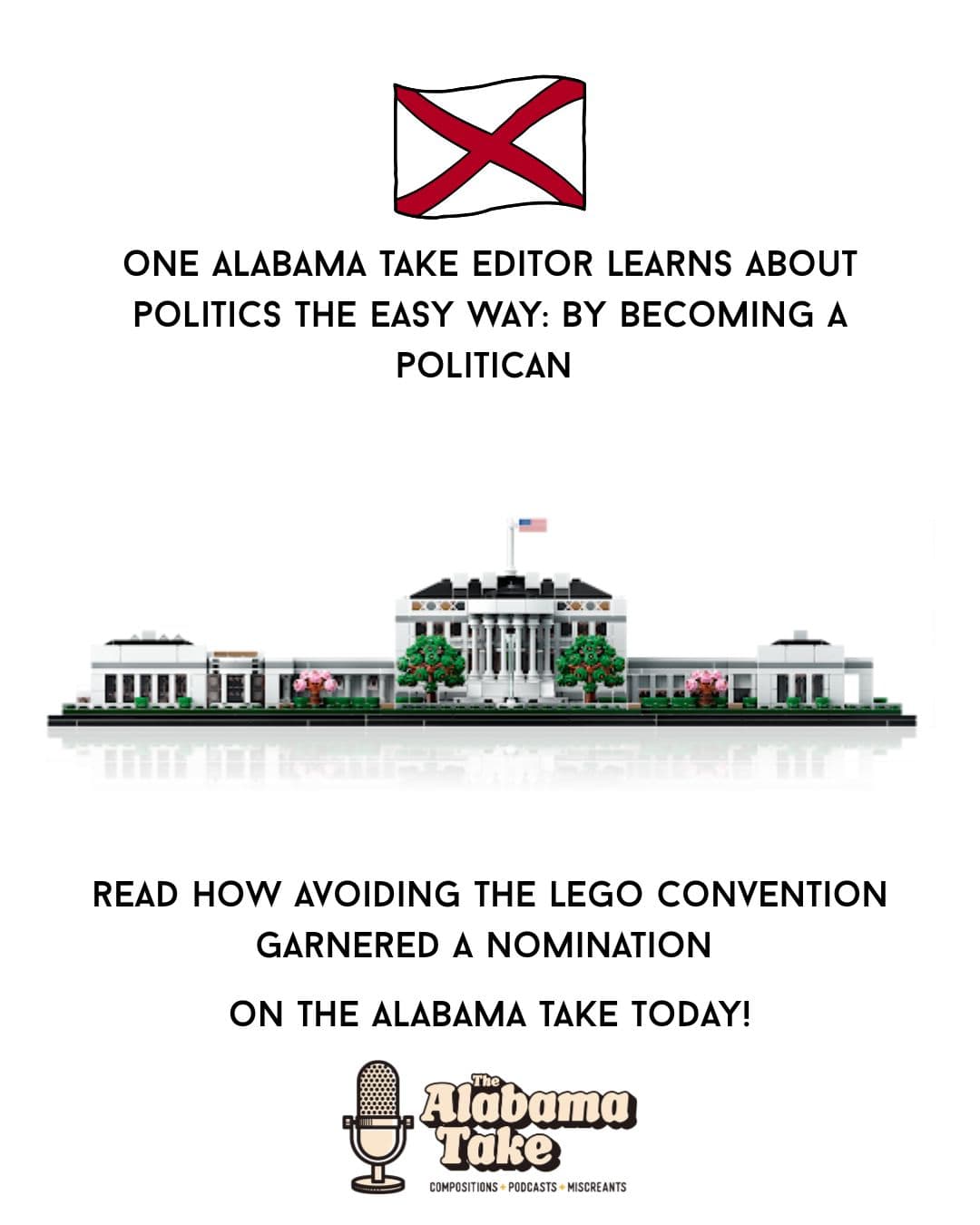 How I Became a Politician