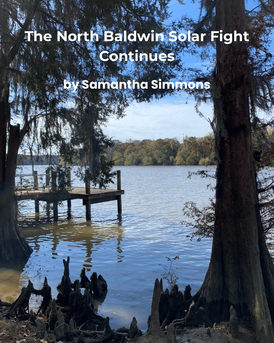 The North Baldwin Solar Fight Continues