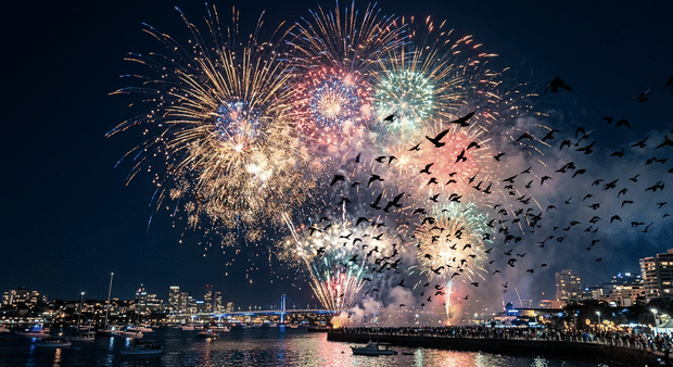 The Cost of Fireworks