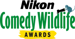 The Comedy Wildlife Photography Awards