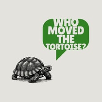 Who Moved the Tortoise
