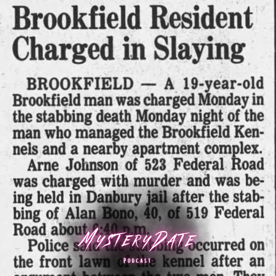 Newspaper Article