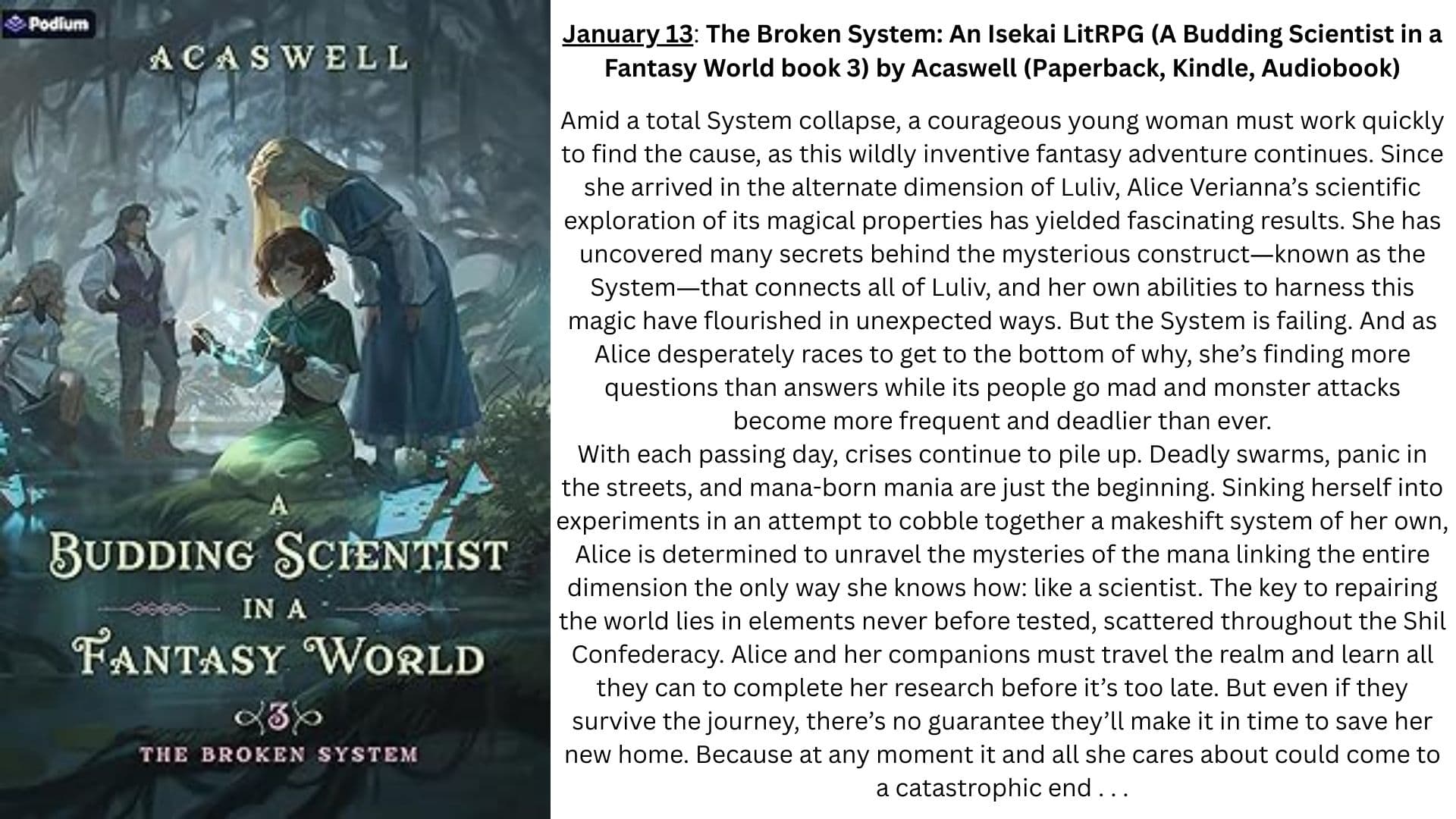 Broken System LitRPG