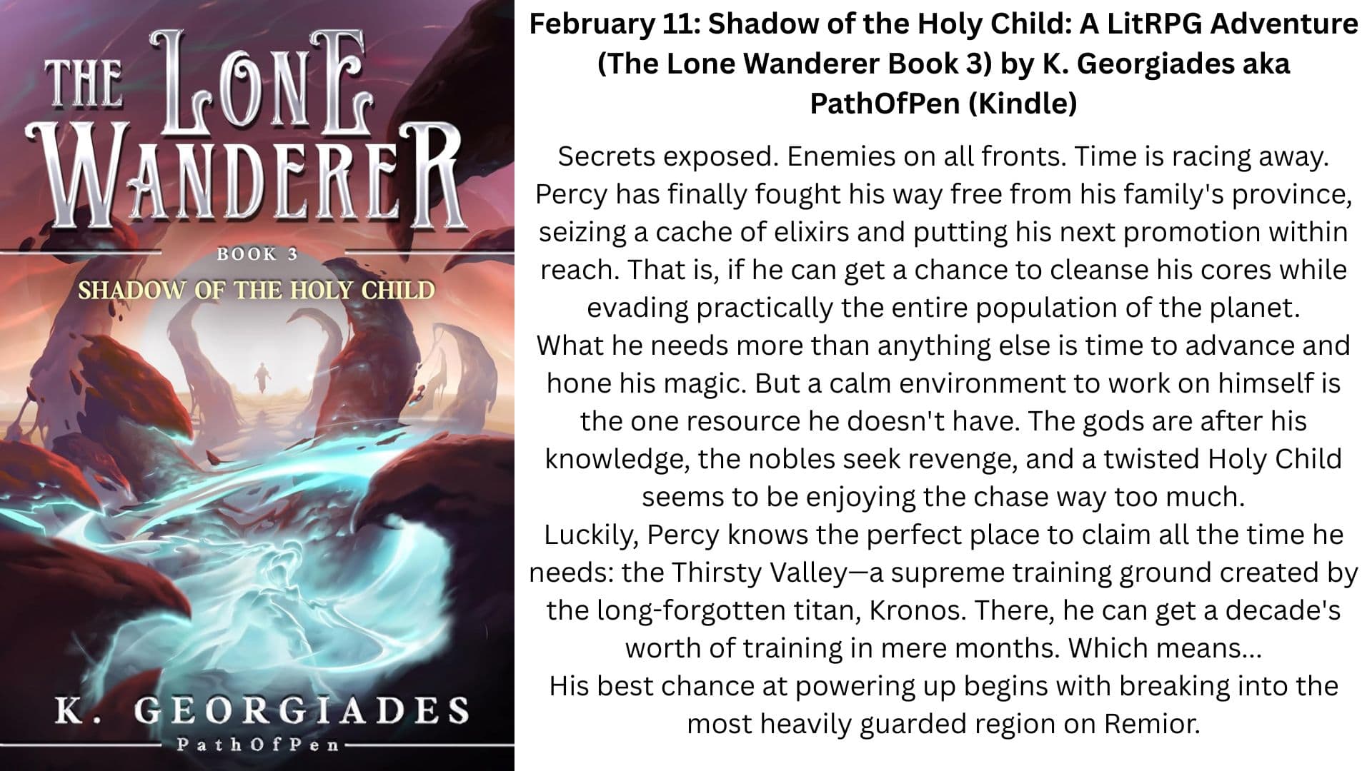 shadow of the holy child litrpg