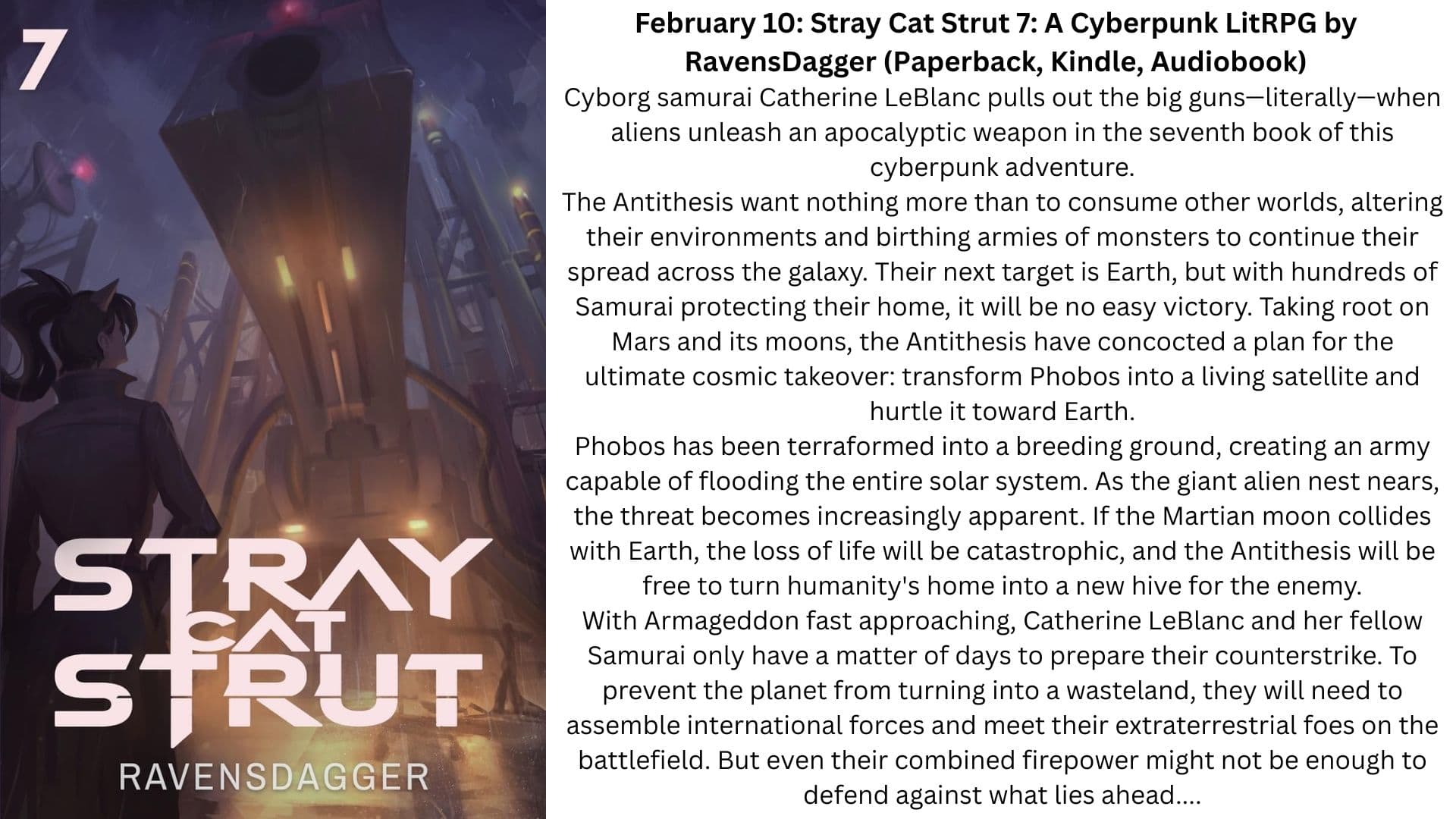 stray cat strut litrpg