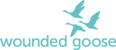 Wounded Goose