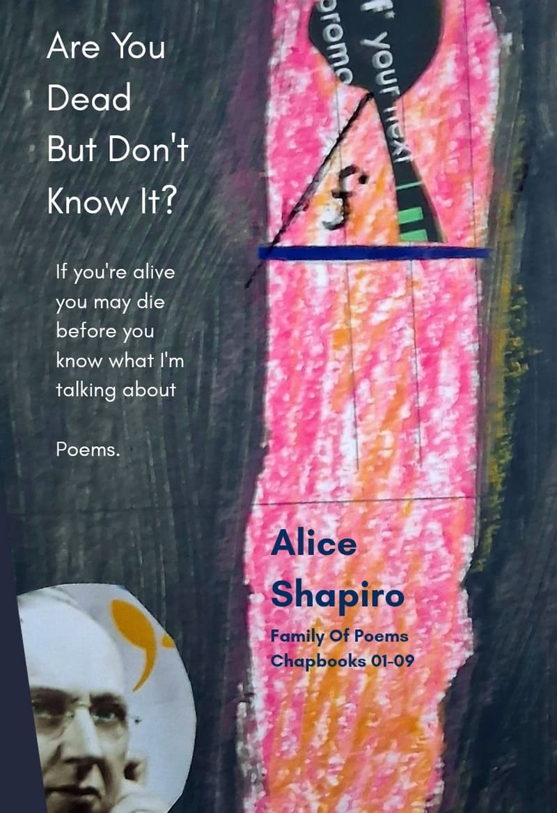 Upcoming Release: Chapbooks Collection