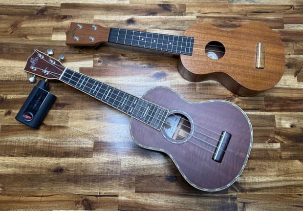 Roadie 4 stringed instrument tuner review - a smart tuner that actually turns the pegs for you