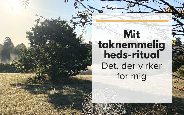Mit taknemmeligheds-ritual – det, der virker for mig