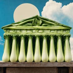 Bok Choy