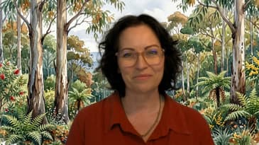 Safewards Champion Program - Introduction to Safewards